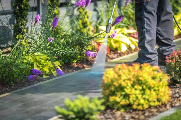 Best Parking Lot and Garage Cleaning  in Chittenango, NY